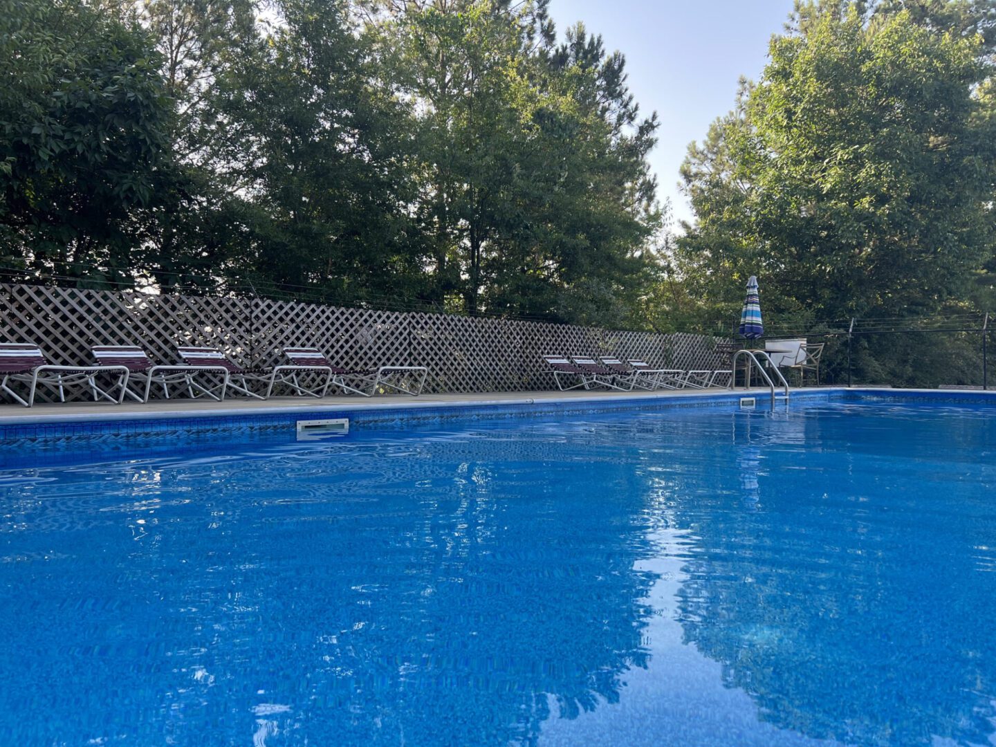 View from the pool on a sunny summer morning